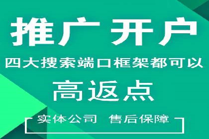案例分享：SEM代运营如何实现ROI最大化